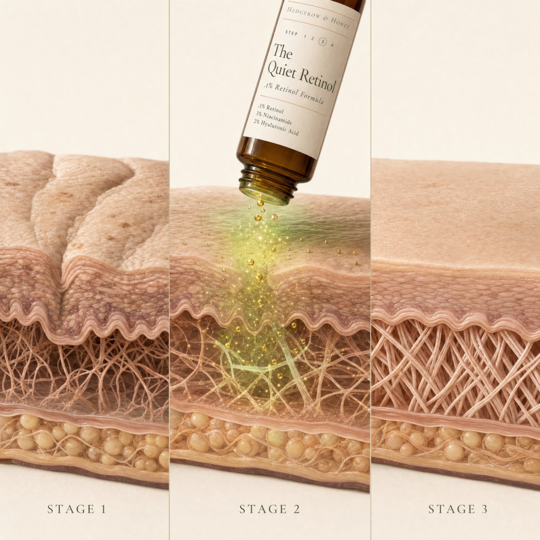 Skin layers across three stages with The Quiet Retinol